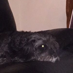 Meet your Posher, Madden